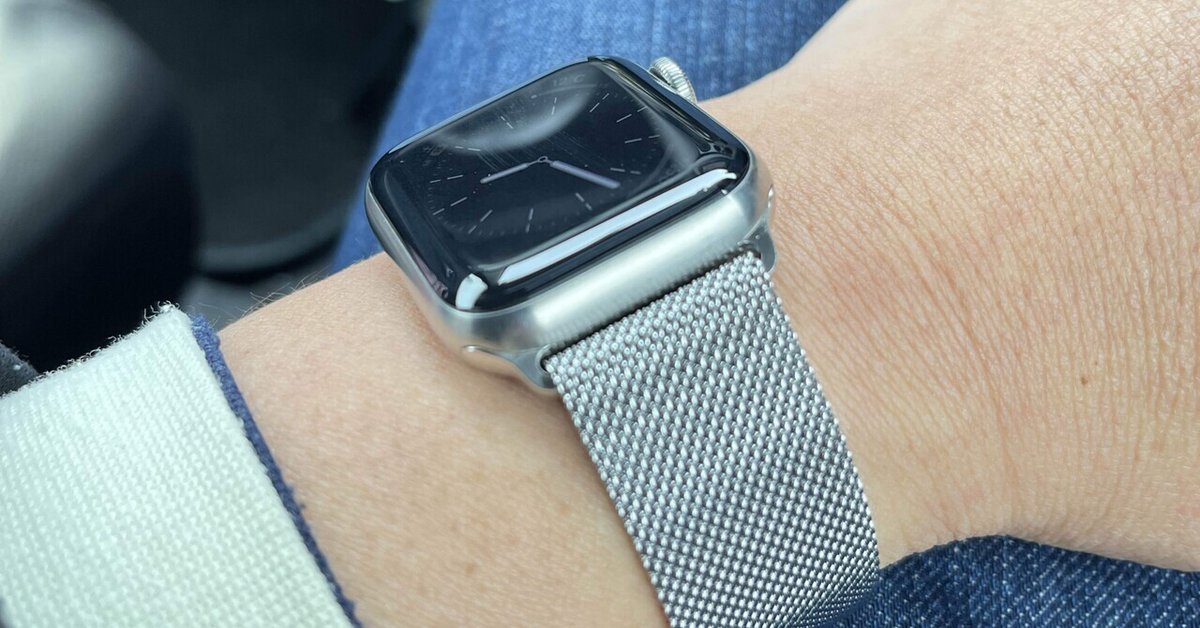 Apple Watch 貫き 44mm/45mm 純正ミラネーゼループ シルバー