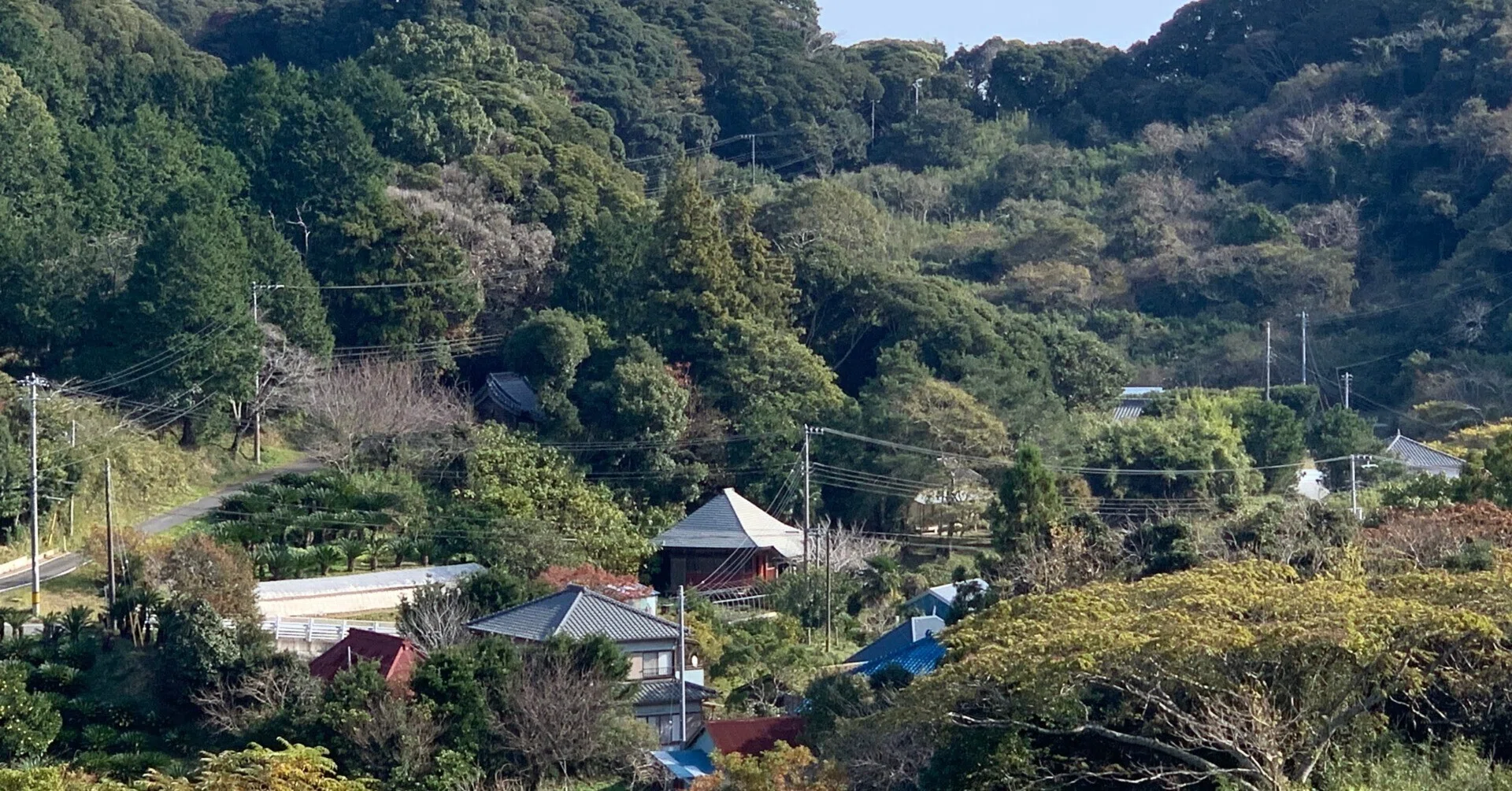 鴨川 市 江見