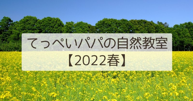 【2022春】菜の花畑にいってきました！～糸島 福ふくの里～