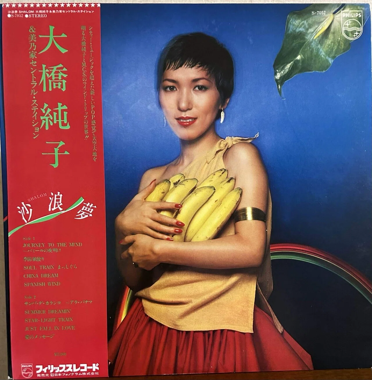 無人島レコード｜domus