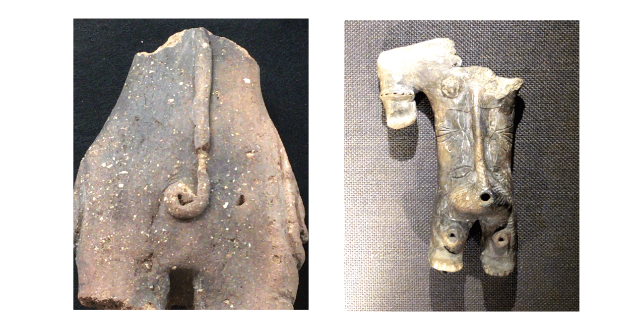 人体の不思議┃土偶のおはなし