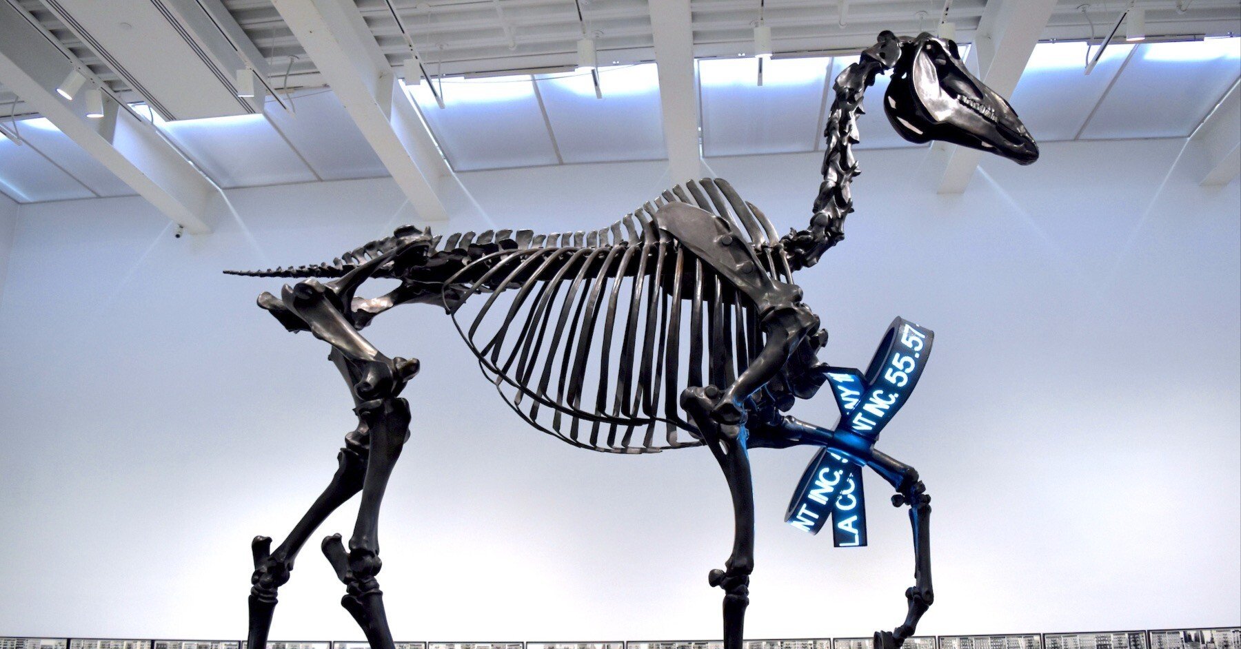 c39c4c6529915ad5e3ec81a4e05969