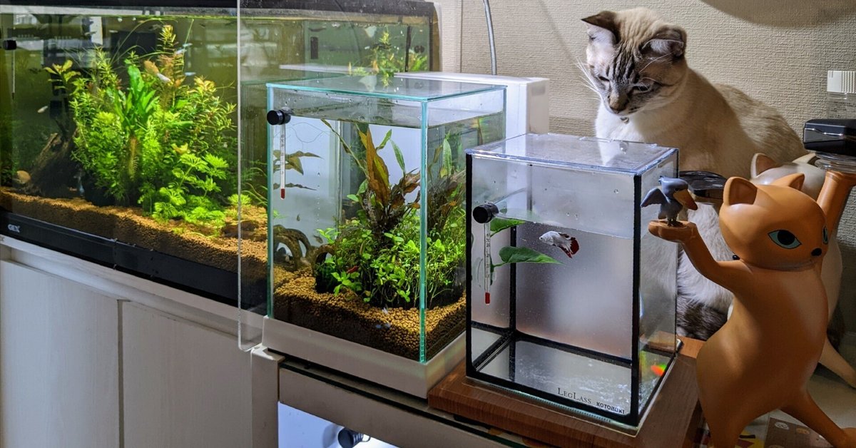 Ipetboom 12個 水槽カバーブラケット 有難く 水槽のトップカバー 水族館の水槽の蓋