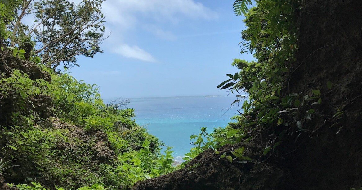 【大幅】沖縄久高島のシーサー【値下げ】 旅の記録／沖縄・久高島｜Kou TSUCHIYA（土谷 光）