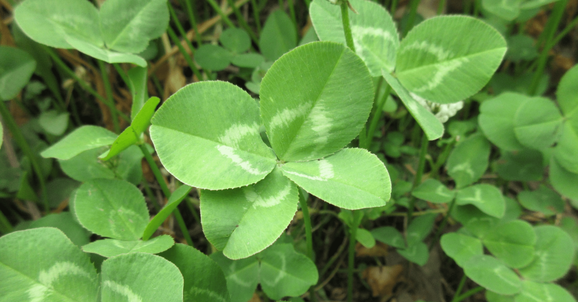 d62fa7b4f2d249dc62239ed3b95866