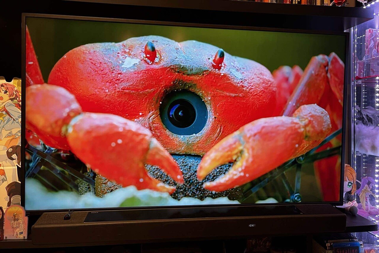 一口エッセイ:動物と人間の違い｜nyalra