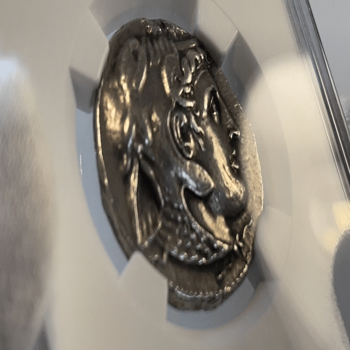 アンティークコインの世界 ｜ NGC Ancientsの古代コイン真正性不保証
