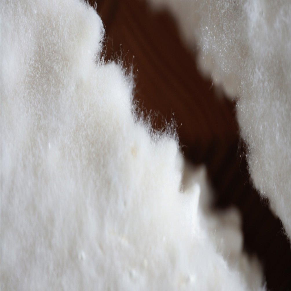 発酵ラボ 第10回 〈乾燥麹を極める─麹出汁（ストック）─〉｜樋口直哉