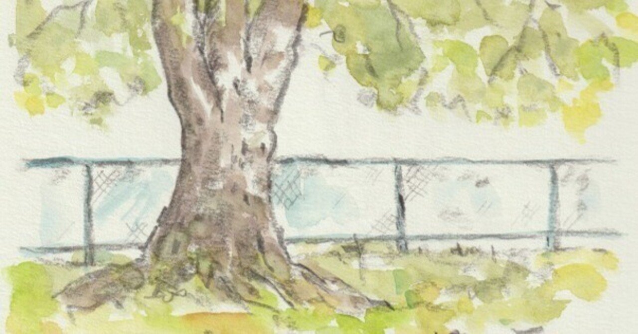 桜木」と「大樹」描きました｜水彩スケッチ帖