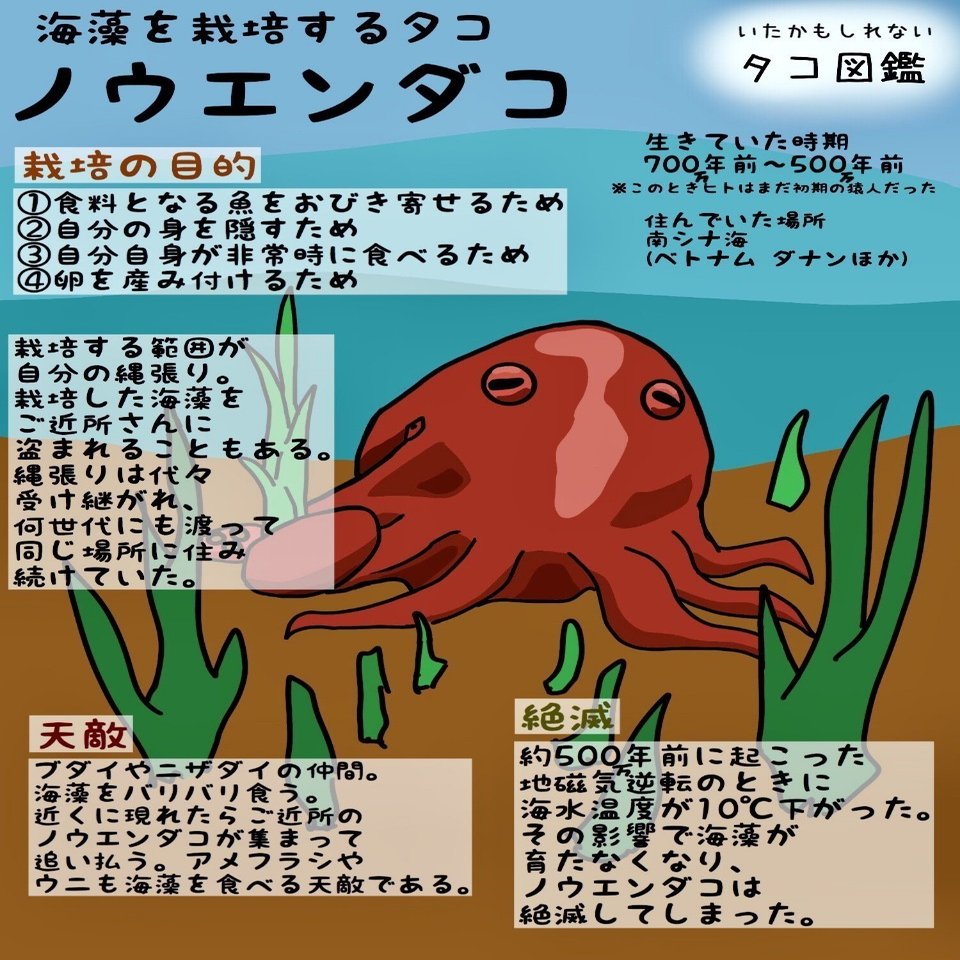 いたかもしれないタコ図鑑 No 2 ノウエンダコ 弱小youtuber ヤスダ歴史研究所 Note