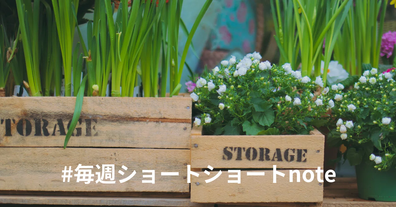 見出し画像