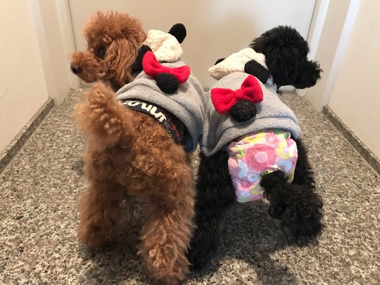 犬のマナーは飼い主のマナー みう Note 犬のマナーは飼い主のマナー みう Note