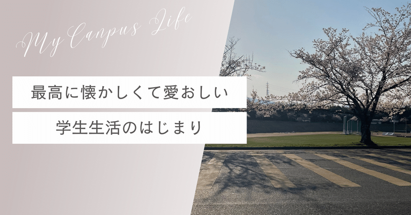 最高に懐かしくて愛おしい学生生活のはじまり