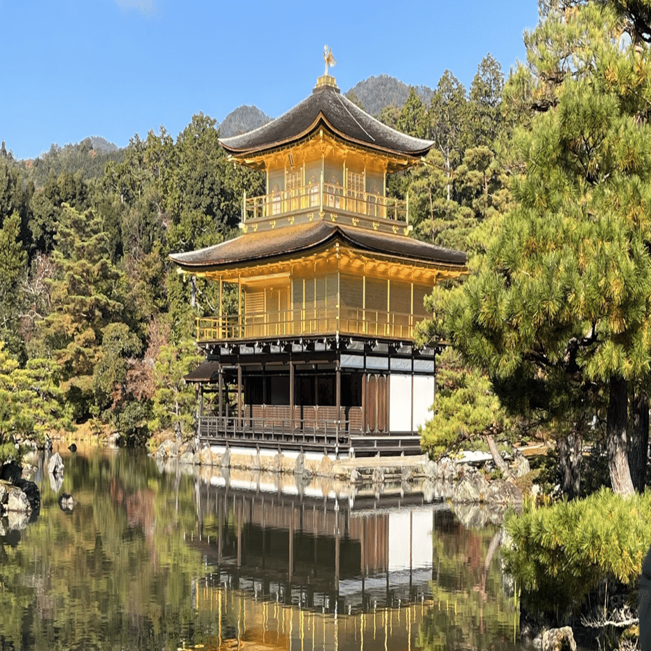 chatGPTにテンションマックスで「金閣寺」について語ってもらった