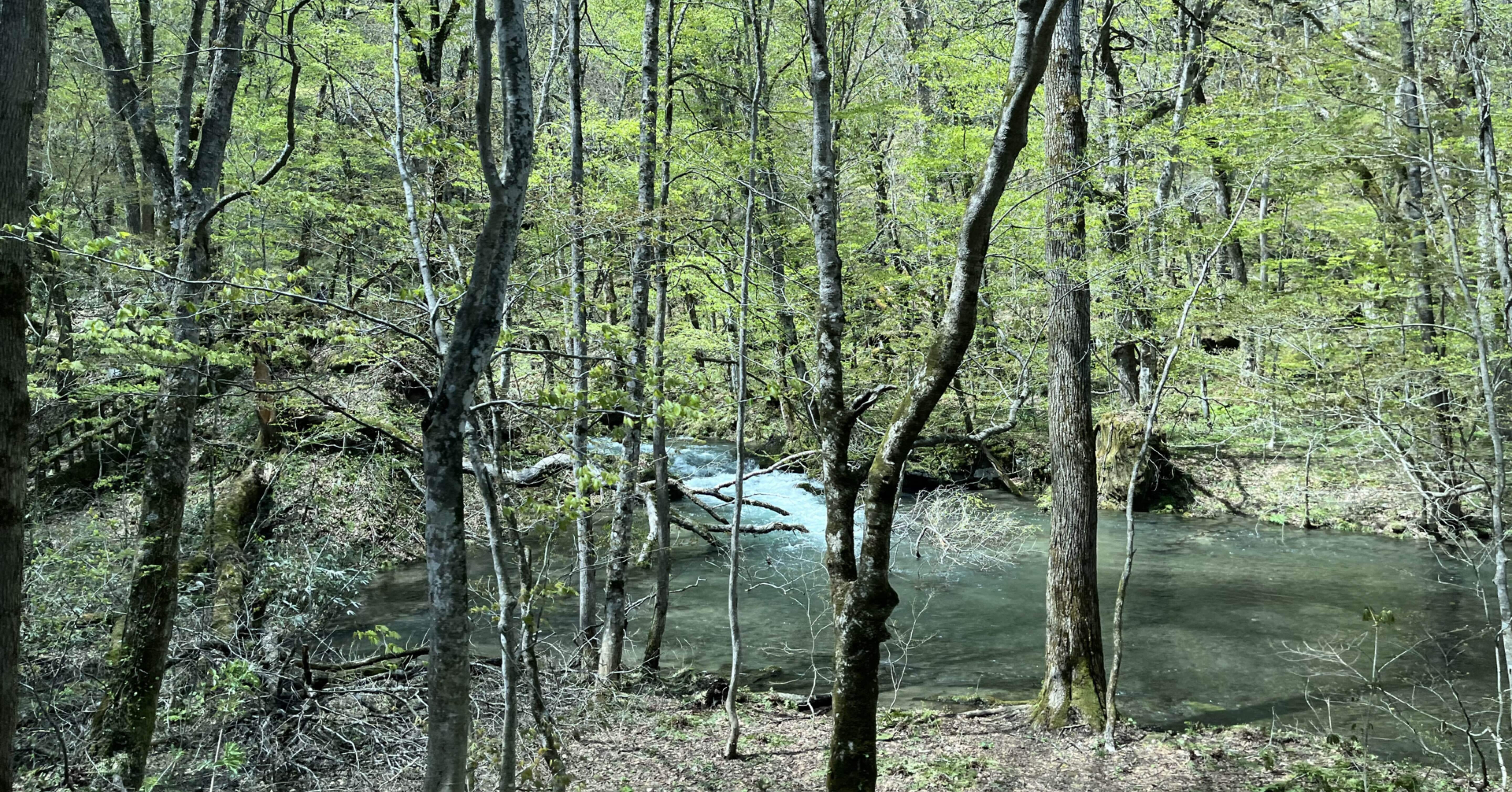 24 奥入瀬バスの旅 5/2 ① 2022GW旅 in 東北｜てらしぃ