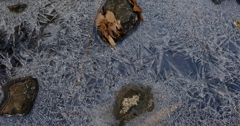 フクシマからの報告　2019年冬　　　　全村避難解除から2年　　　　　　　　　自然のつくった氷の芸術は　　　　　　　除染による破壊から無事だった