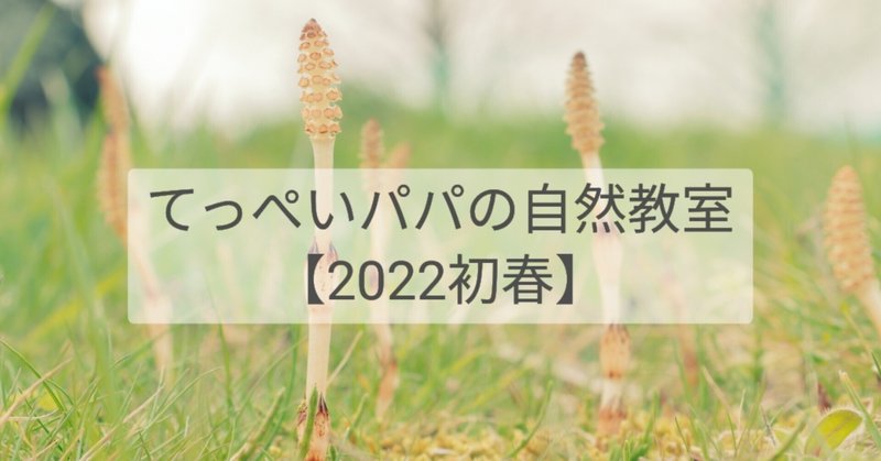 【2022初春】～春の訪れ～つくし