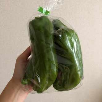 汚部屋出身の女による人生改善計画