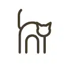 伴ねここ