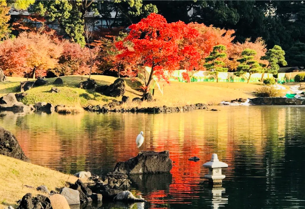 禅と枯山水のちょっとコムズカシイはなし。完結編｜木村悠貴