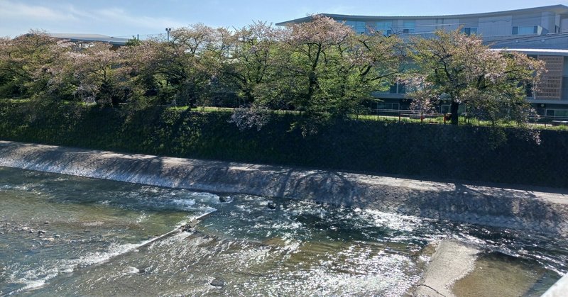 橋の上からまだ散らず残った桜の花をみて詠める