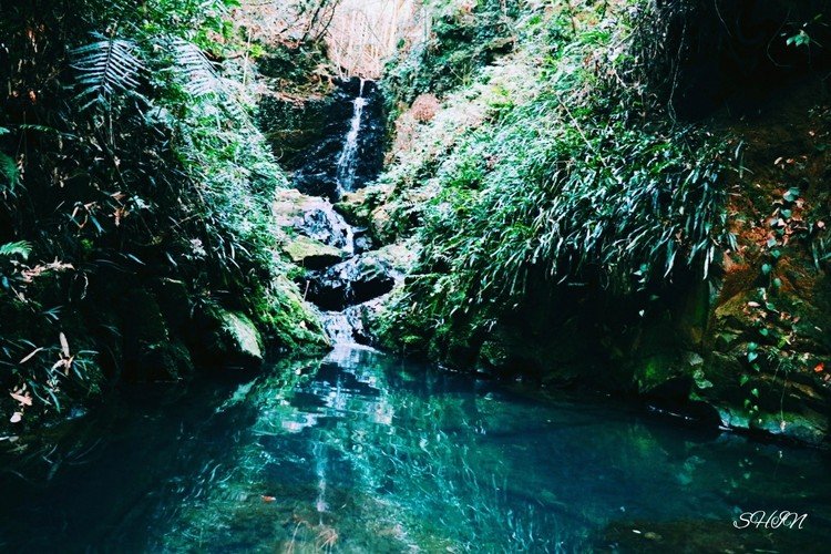 高知県のとある観光地の奥地に流れる小さな小さな滝（とまでは言えないやつ）