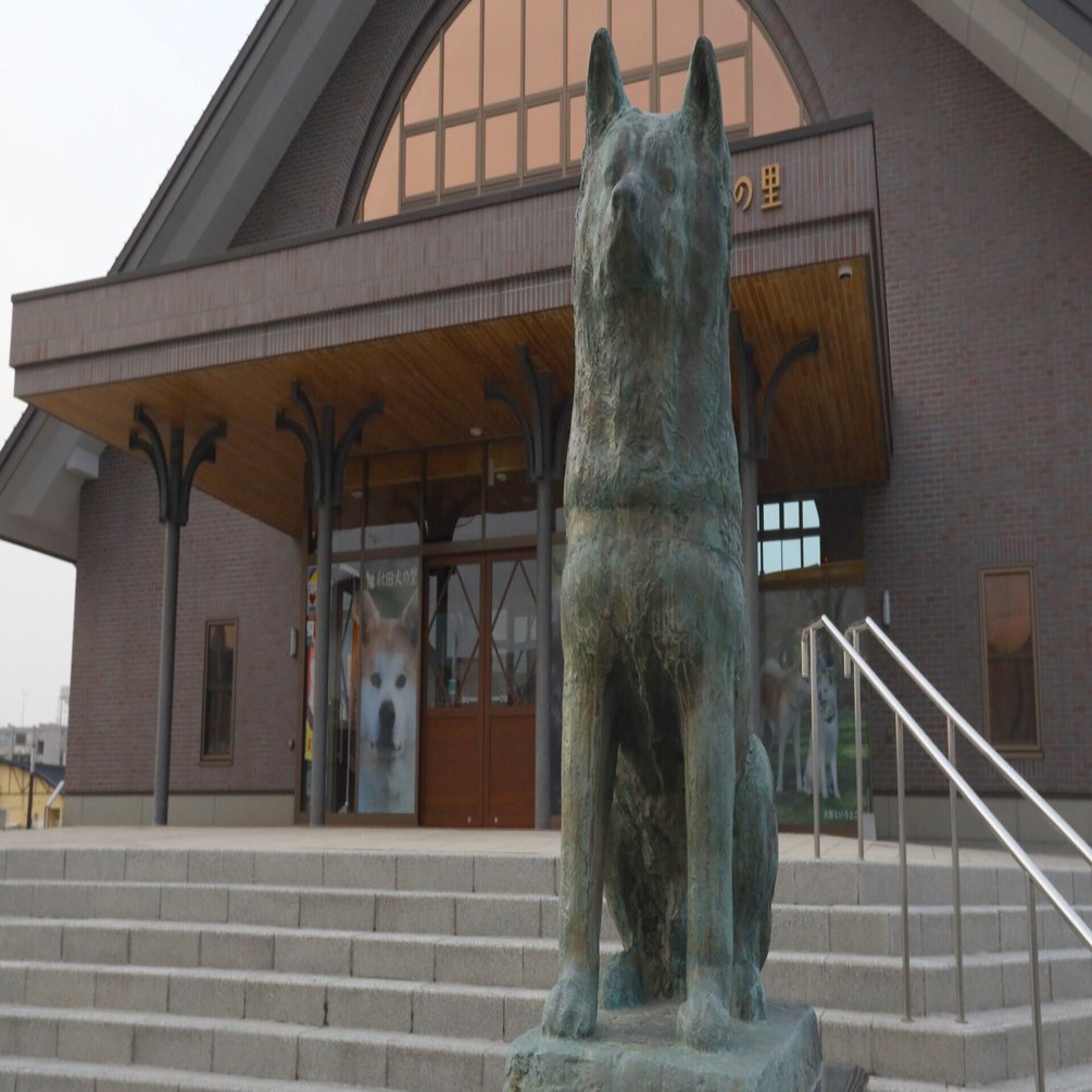 ハチ公がいる風景、秋田・大館｜ぽんかん