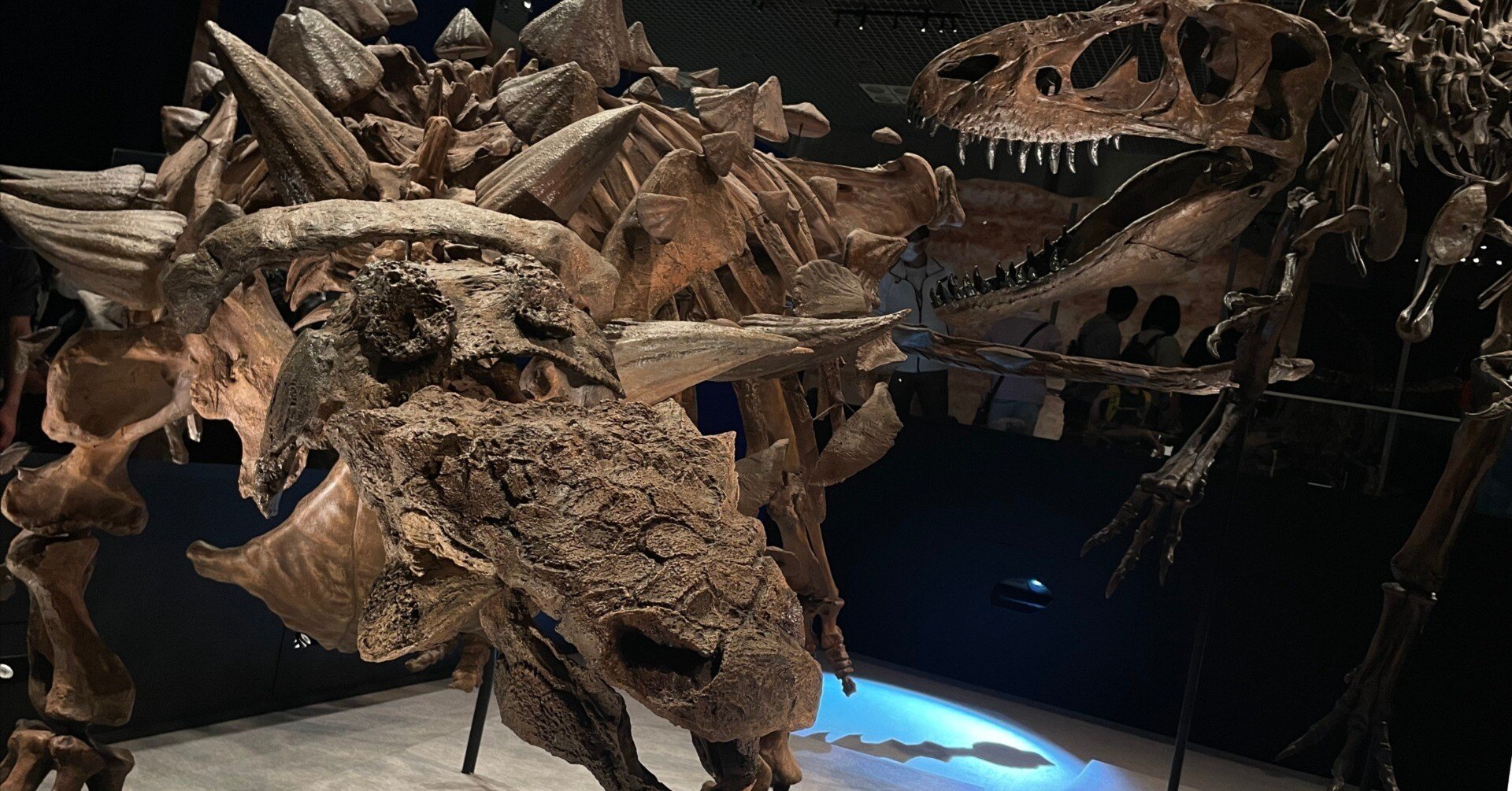 06425f210ecf5d17088cb65fab11ea