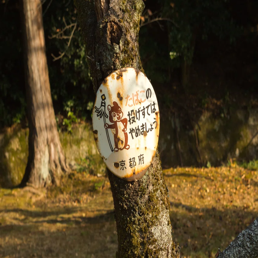 山火事看板あつめ｜則山 治