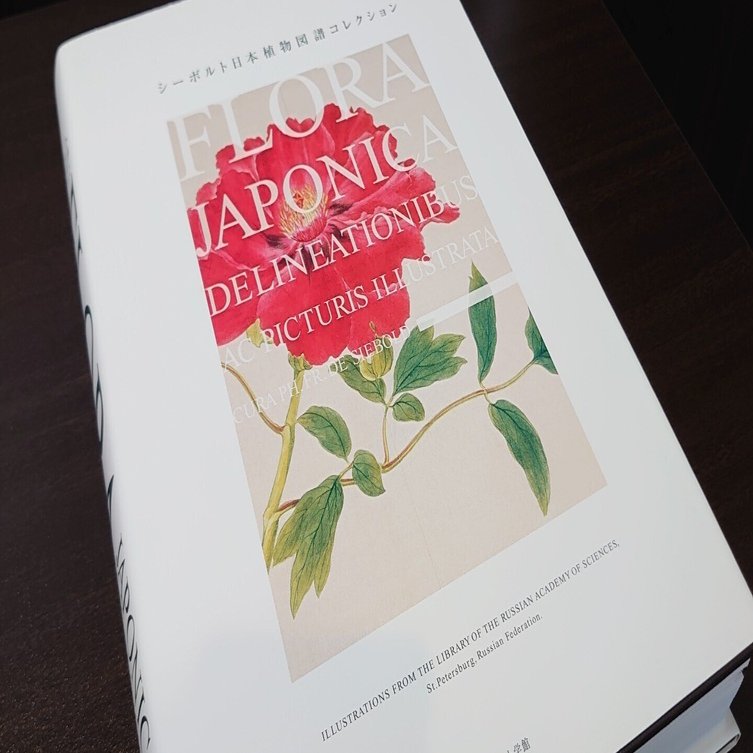 シーボルト・コレクション日本植物図譜展 | nostos books ノスト