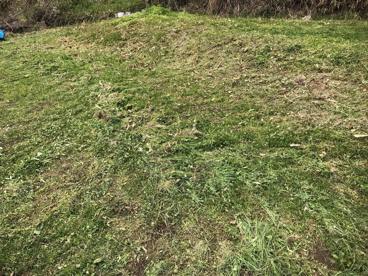 刈り払い機で草刈り｜MUNA_FARM 無農薬自給自足