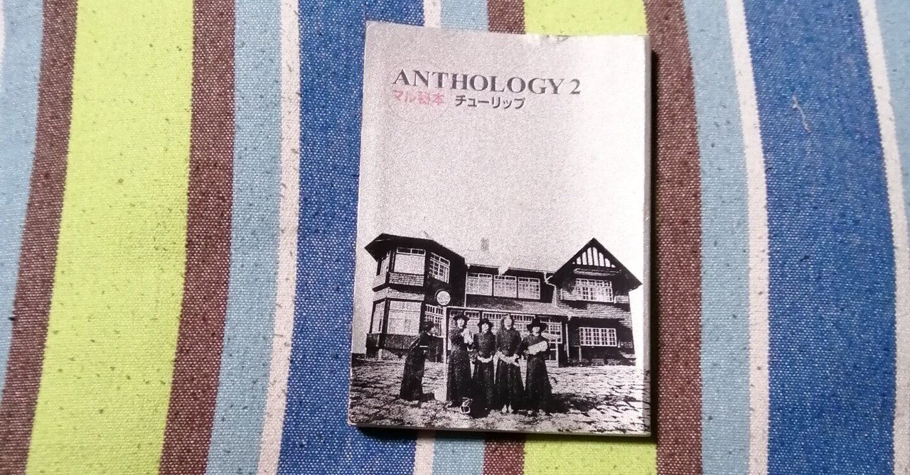低価格の 読書日記～チューリップ「ANTHOLOGY 2 マル秘本」編 アート・デザイン・音楽