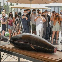 2024年を終えて｜小川晃司