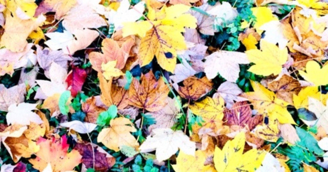 誰かの態度や言動が気になるとき ミカリュス note