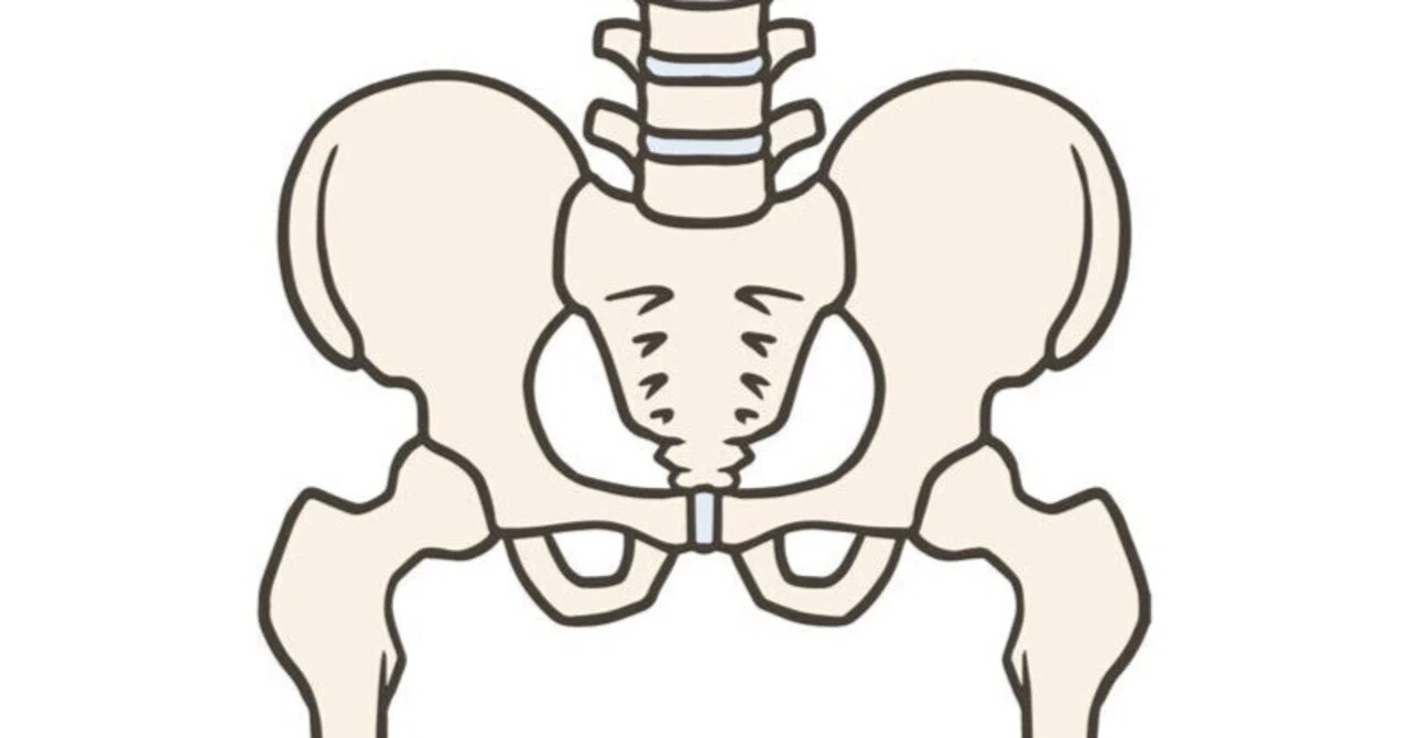 Adding a Spring to Your Body: The Pelvis as a Spring｜奈良・八起堂治療院