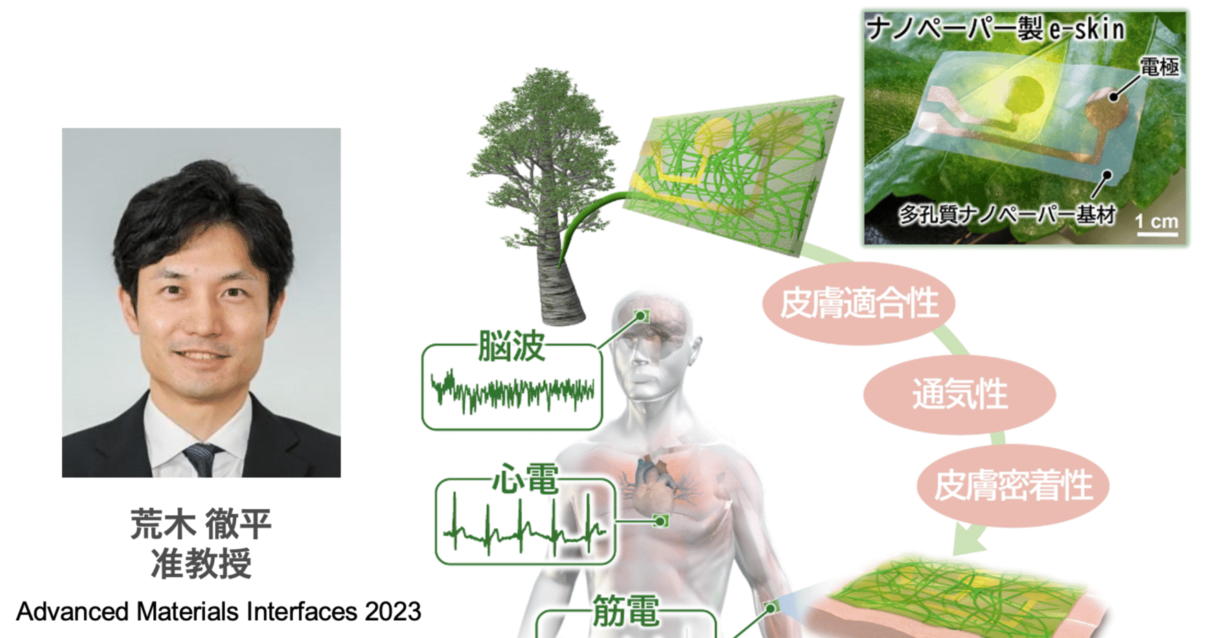 Amazon.co.jp: 【古探713】精選 古典探究 古文編 文部科学省検定