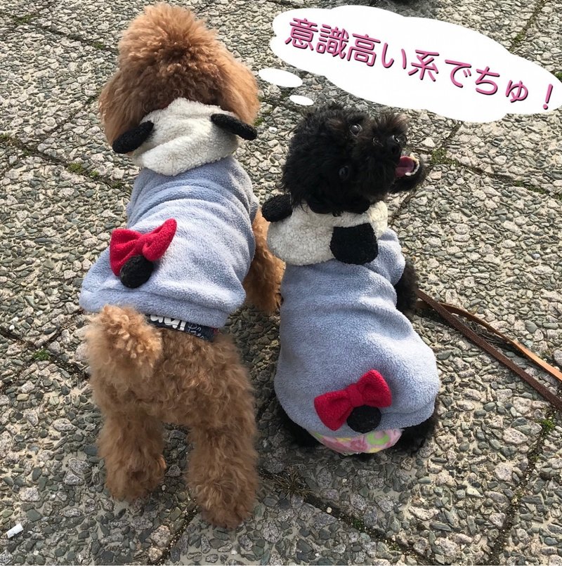 犬のマナーは飼い主のマナー みう Note 犬のマナーは飼い主のマナー みう Note