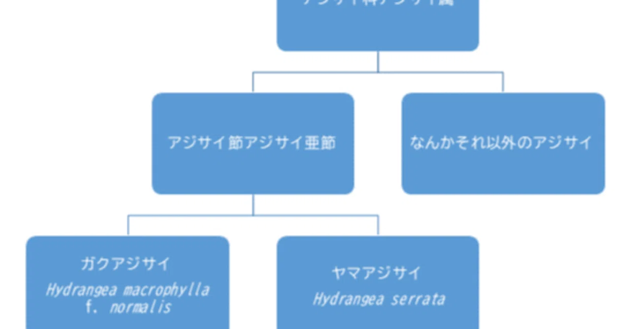 アジサイの正確な品種名が分からなすぎて丸一日調べる羽目になった｜つー