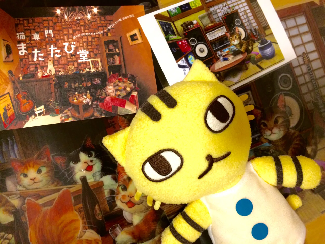 茶トラ猫”にこだわってしまう理由｜トラミヤ