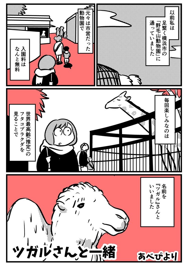 あべ ぴより 漫画 Note あべ ぴより 漫画 Note
