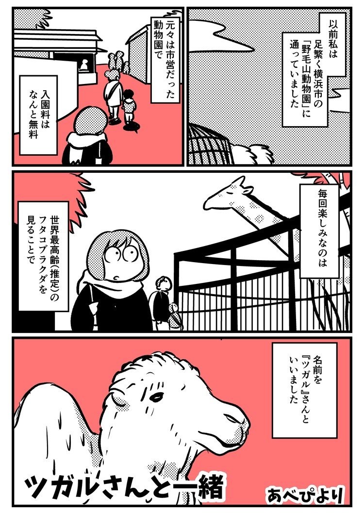 あべ ぴより 漫画 Note