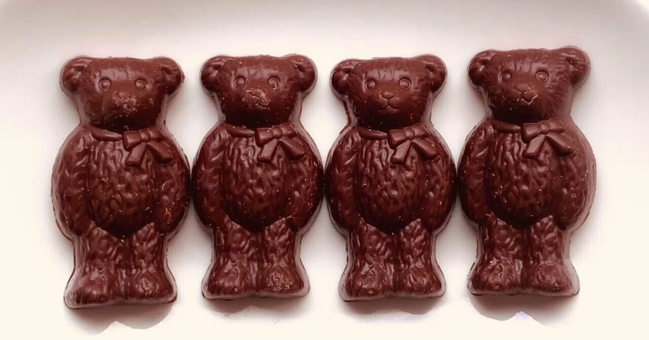テディベアの茶色は太って見える？｜サユリ・ショコラリスト