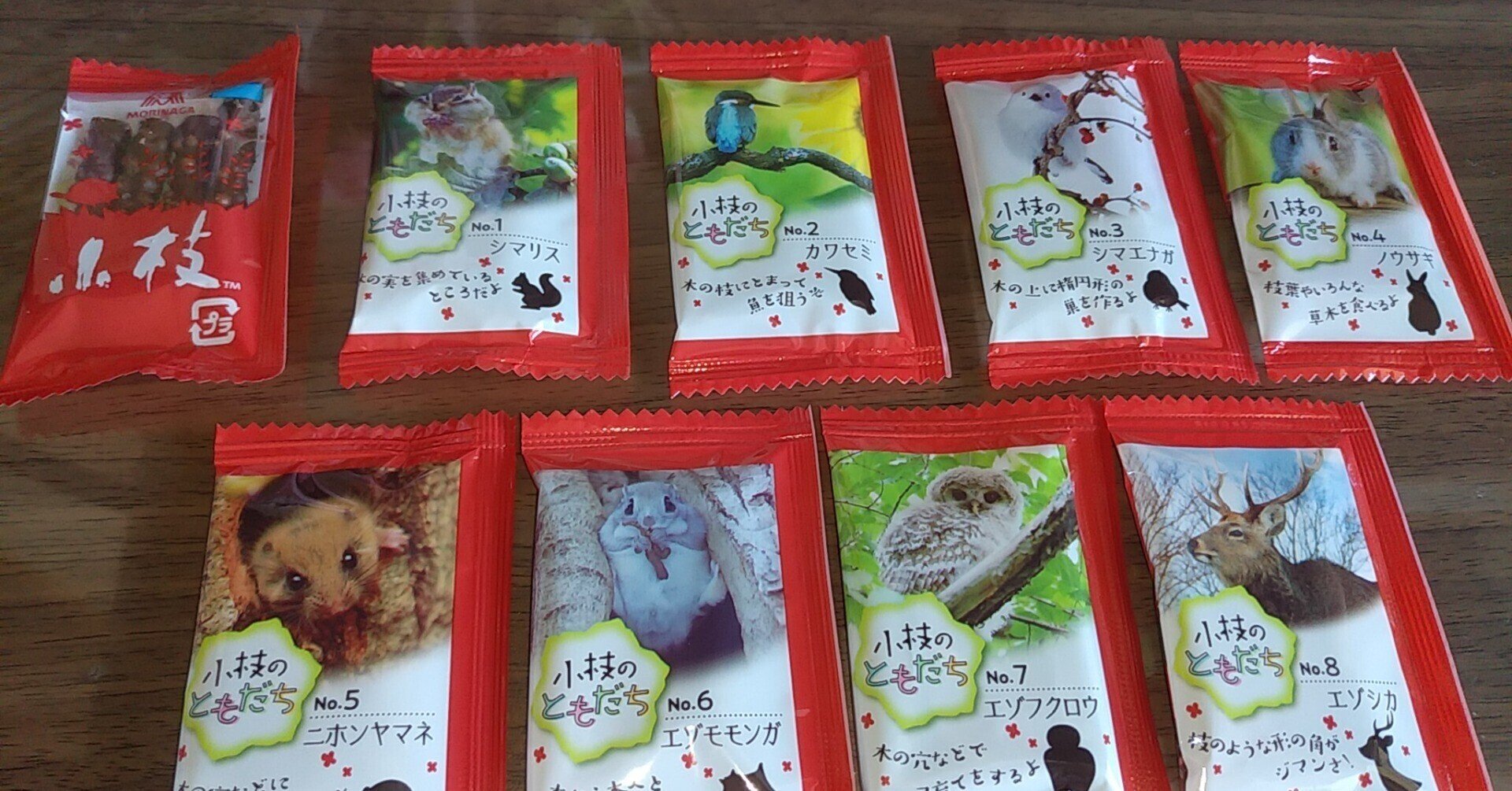 小枝のともだち|ちる@鳥見の時間 小枝のともだち|ちる@鳥見の時間