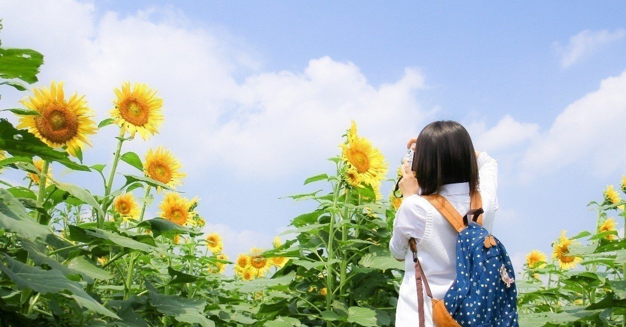 車輪の国名言集 で読んで欲しいnote5選 しょうい Note 車輪の国名言集 で読んで欲しいnote5選 しょうい Note