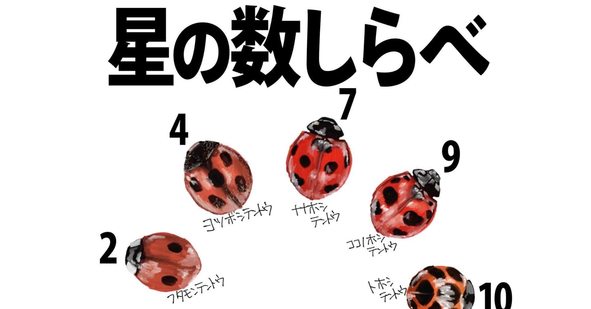 テントウムシの星の数が気になったので調べました｜くますけ｜自然