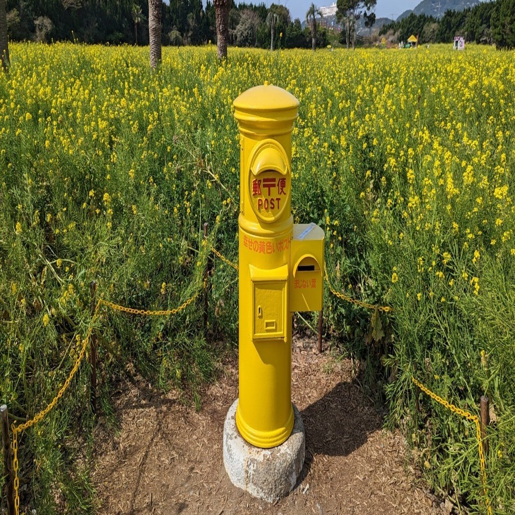たくさん歩く(菜の花ガーデン)#356｜やん（矢野達也）