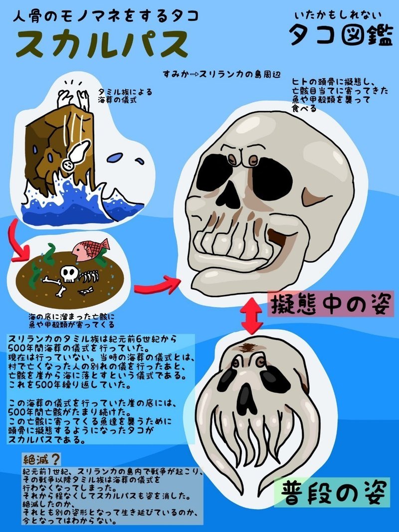 いたかもしれないタコ図鑑 No 3 スカルパス 弱小youtuber ヤスダ歴史研究所 Note いたかもしれないタコ図鑑 No 3 スカルパス 弱小youtuber ヤスダ歴史研究所 Note
