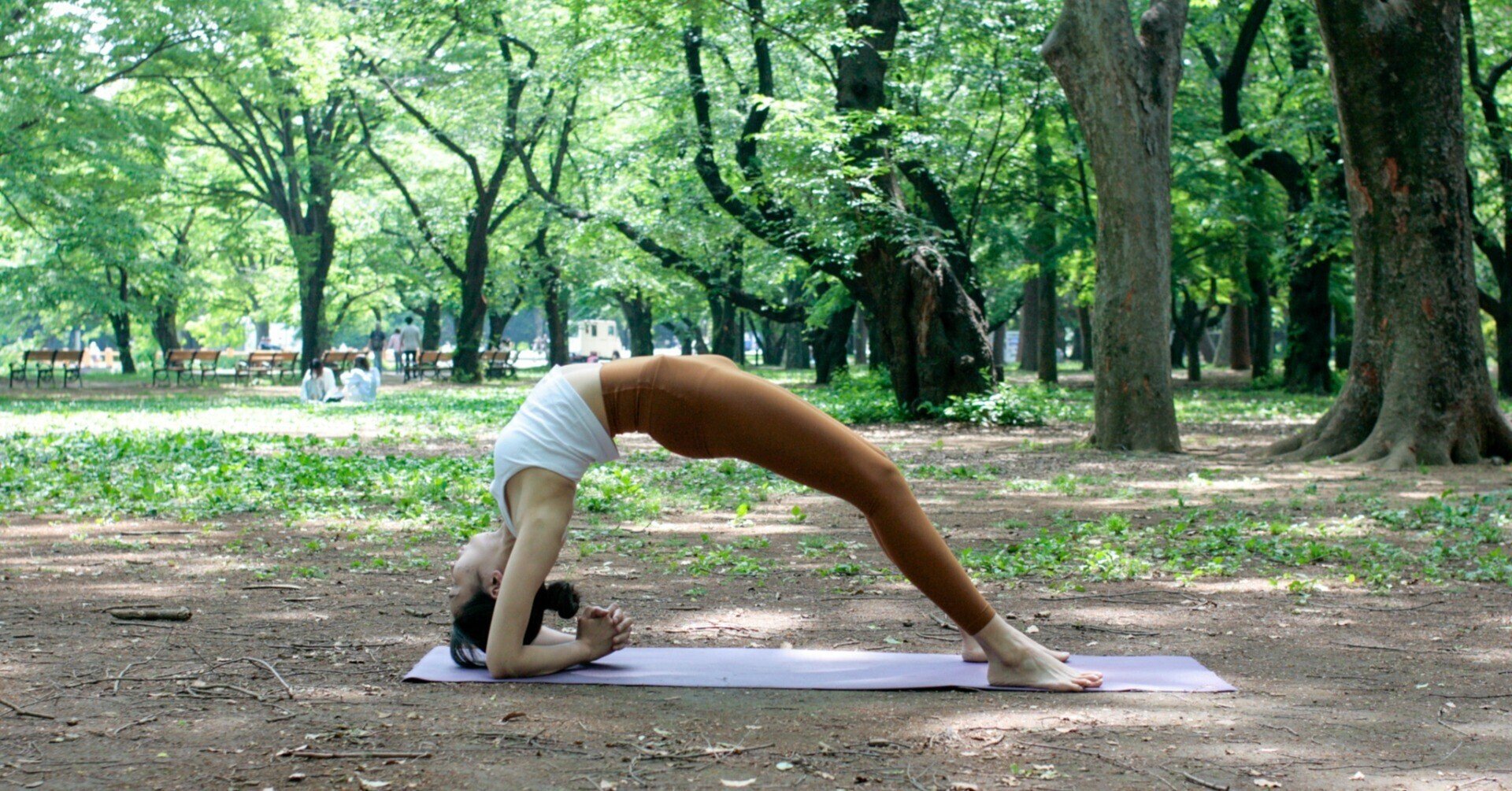 裁断済　アーユルヴェーダによるタイプ別Yoga 裁断済 アーユルヴェーダによるタイプ別Yoga 本・音楽・ゲーム