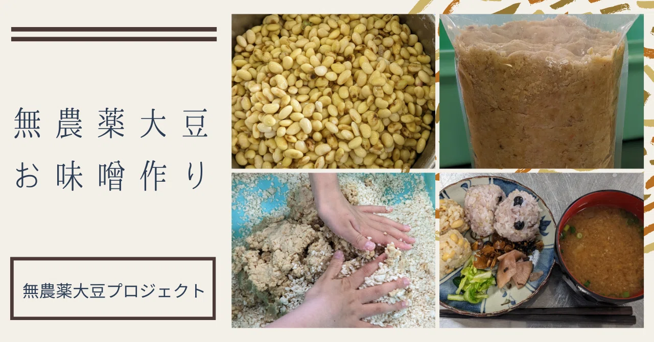 無農薬大豆プロジェクトでお味噌作り｜和歌山食と暮らしプロジェクト