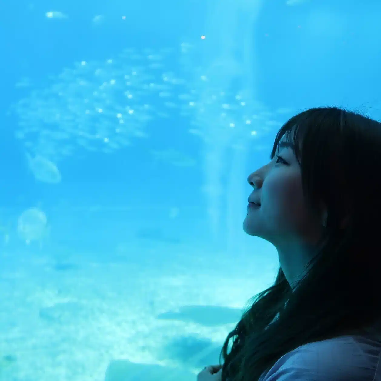 ねずみ